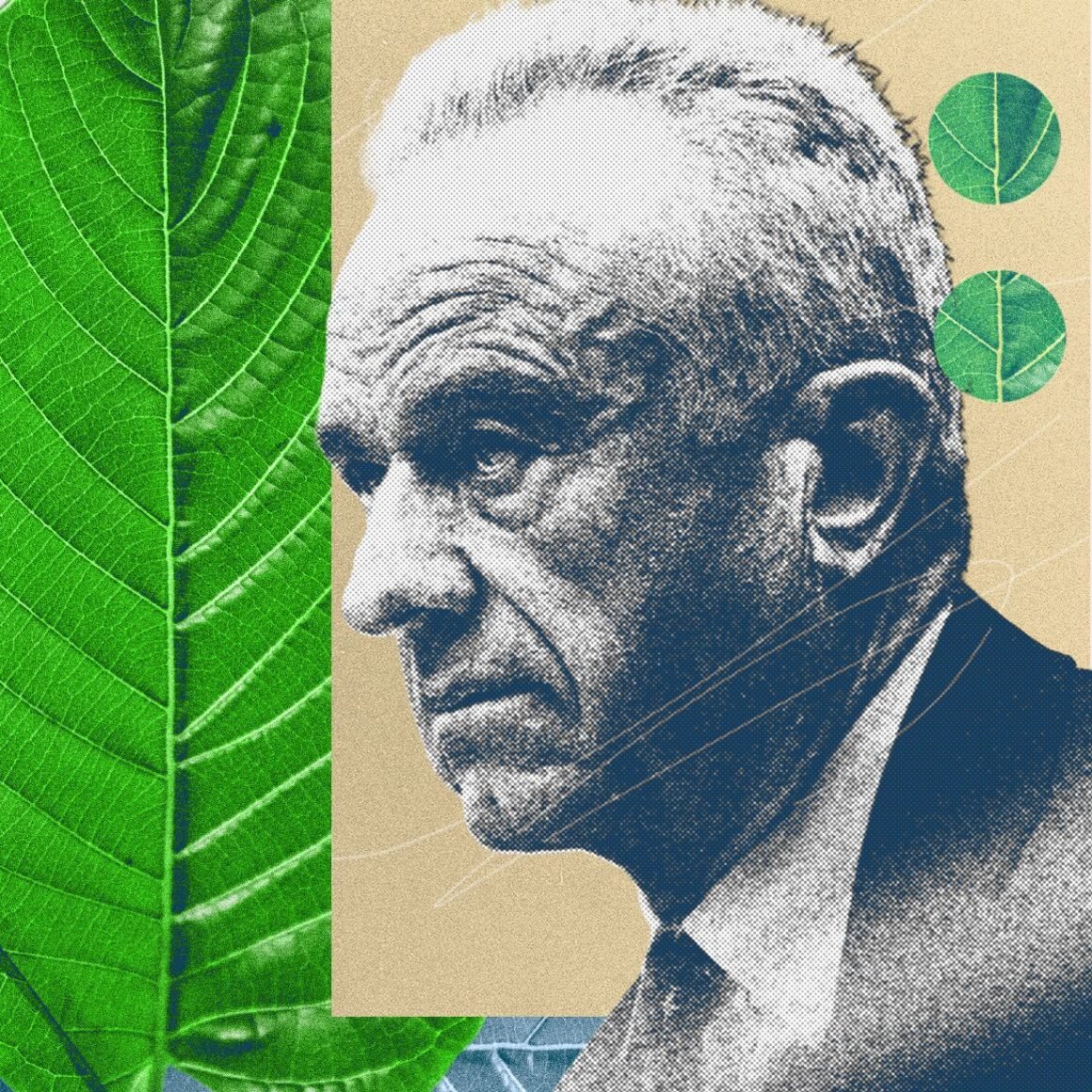 The Kratom Civil War Is Heating Up, and MAHA Has Picked a Side